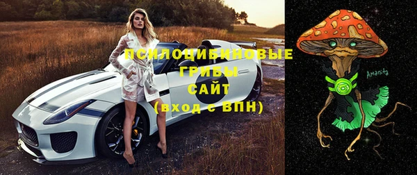 амф Медвежьегорск