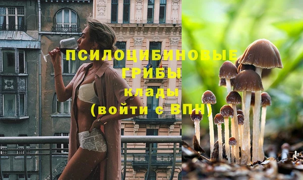 гидропоника Магадан