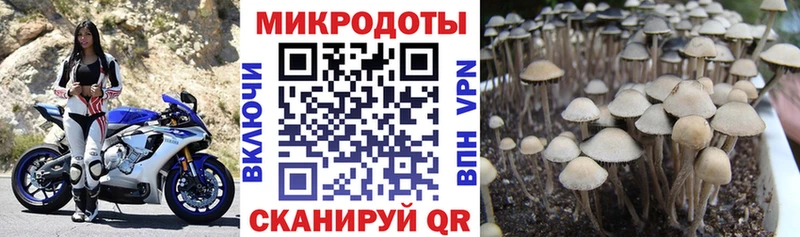 Галлюциногенные грибы Magic Shrooms  Макарьев 